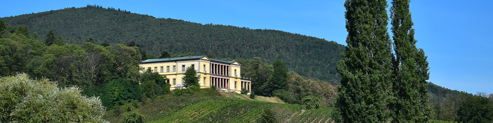 Kontakt & Anfahrt: Villa im Wald auf einem Berg